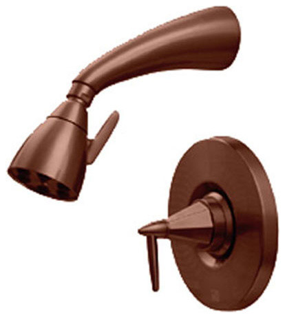 Antique Copper Whitehaus 614.858SH Wall Mounted Bathroom Shower Head & Valve