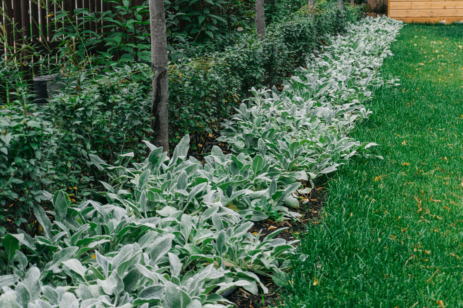 Сад в скандинавском стиле