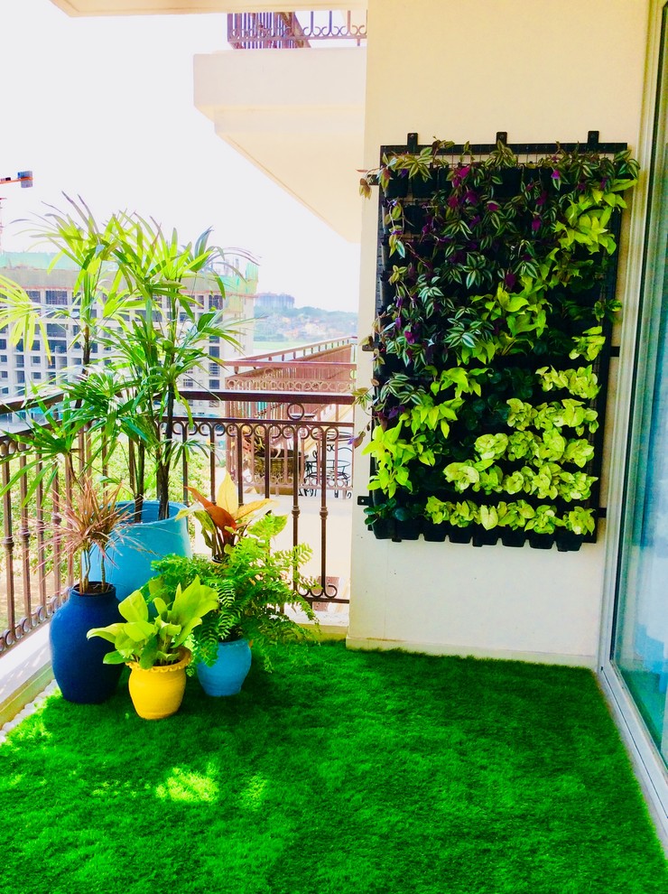 Vertical Garden/Green Walls Indian Balcony Bengaluru by