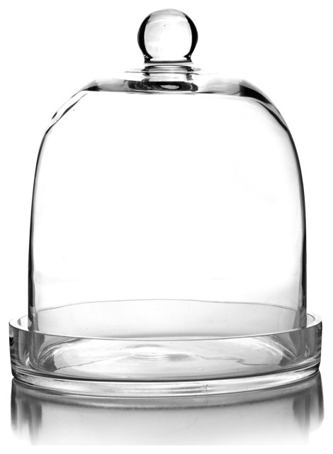CYS Excel Glass Dome Cloche Terrarium Bell Jar with Glass Tray, H-11", D-8.75",