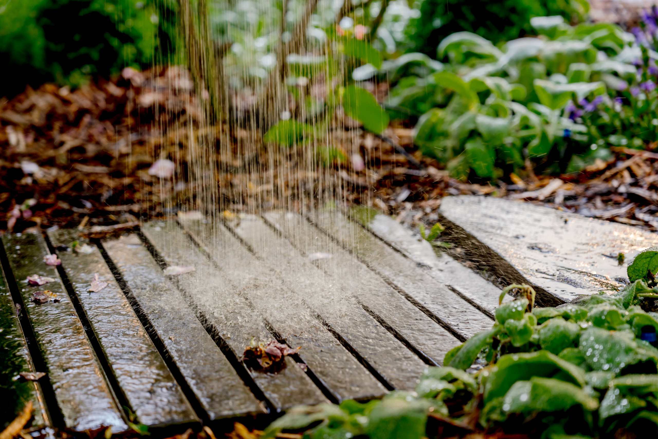 Water, Wood, and Wild Blooms