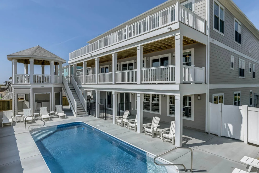 Dolphin Watch (2023)