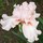 mike_mccoy6094060