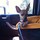 christine_ervick