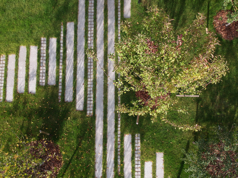 Репино парк