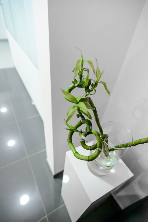 Стоматологическая клиника