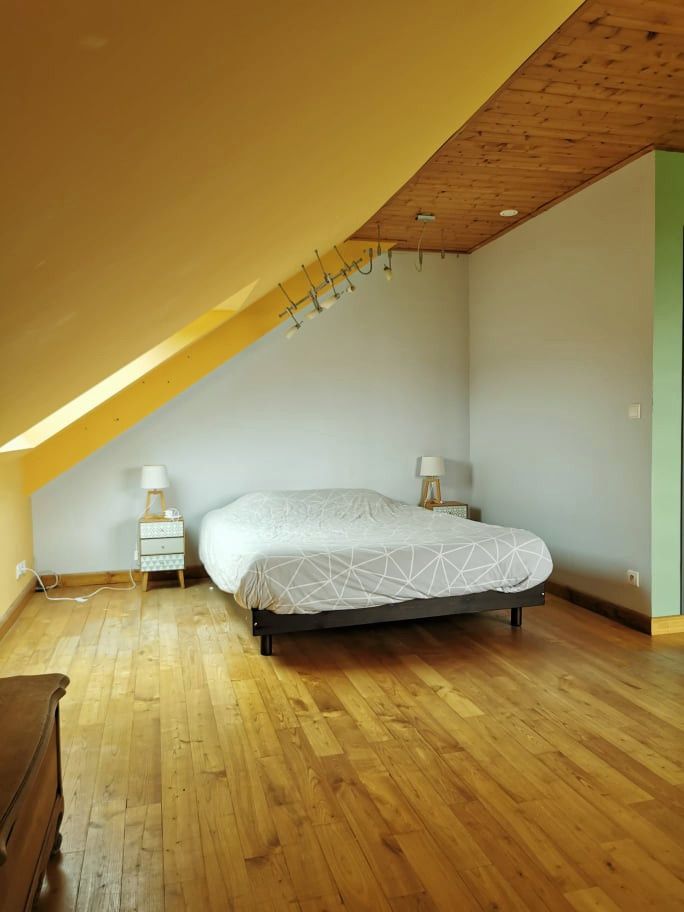 Cette photo montre une grande chambre parentale exotique avec un mur vert, sol en stratifié et un plafond en bois.