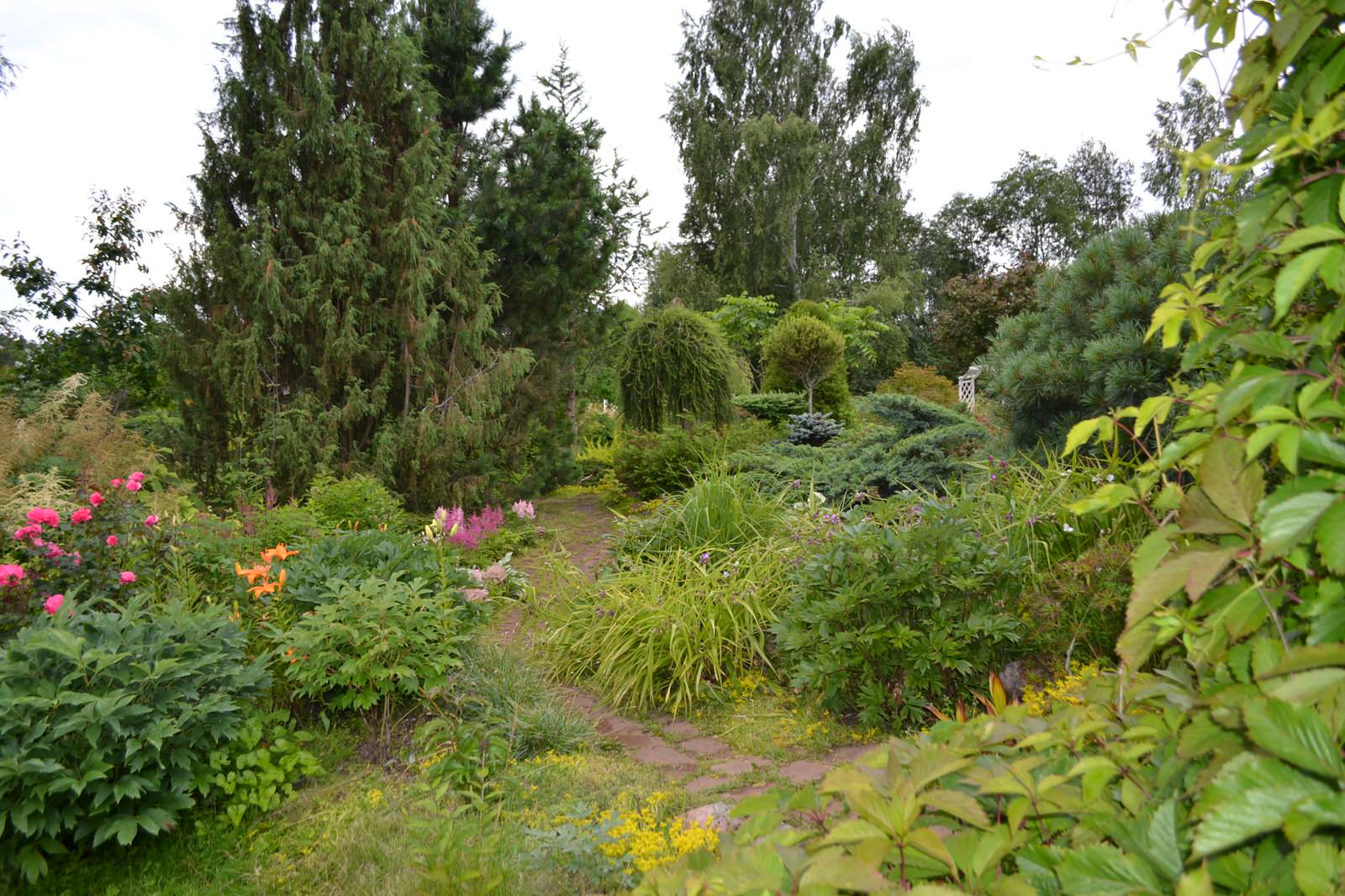Сад  «Моя цветущая планета».