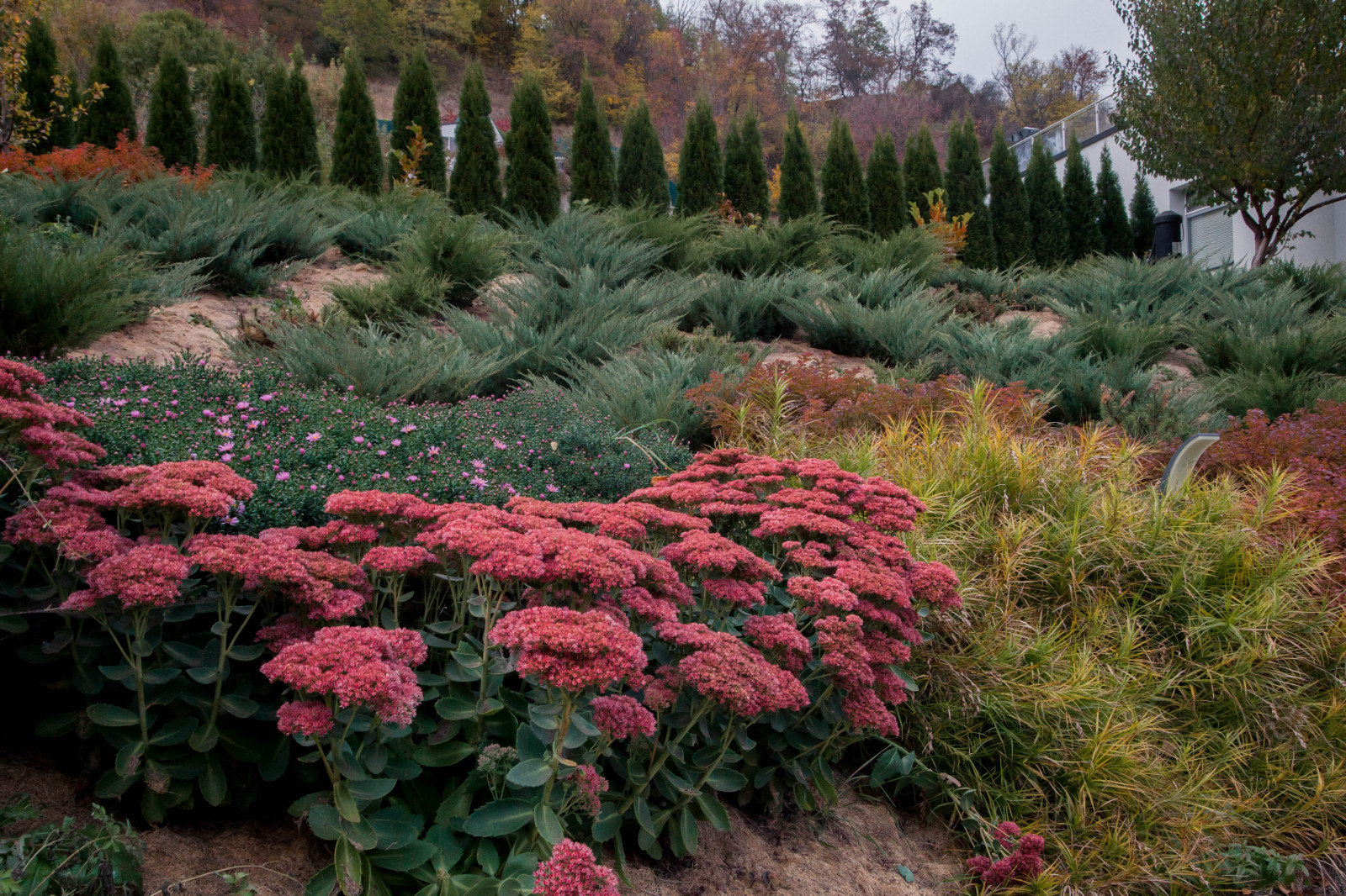 Сад на холмах - по мотивам Пита Удольфа.