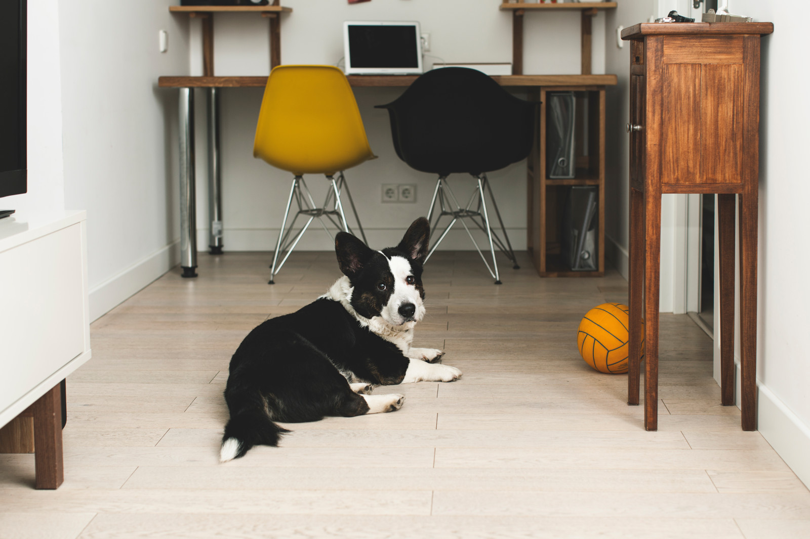 Катя/ Преображенская Площадь