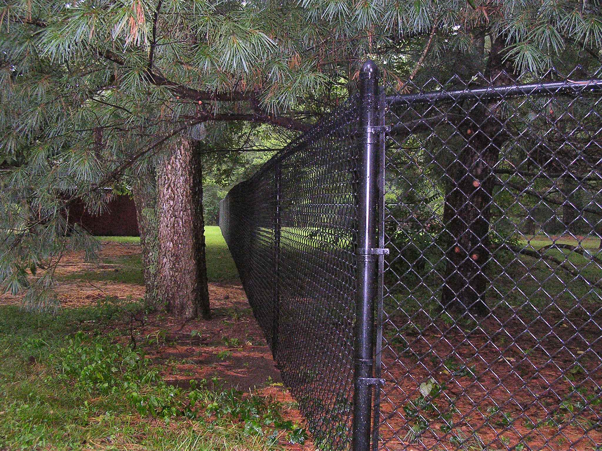 Black Chain Link Fence - Photos & Ideas | Houzz