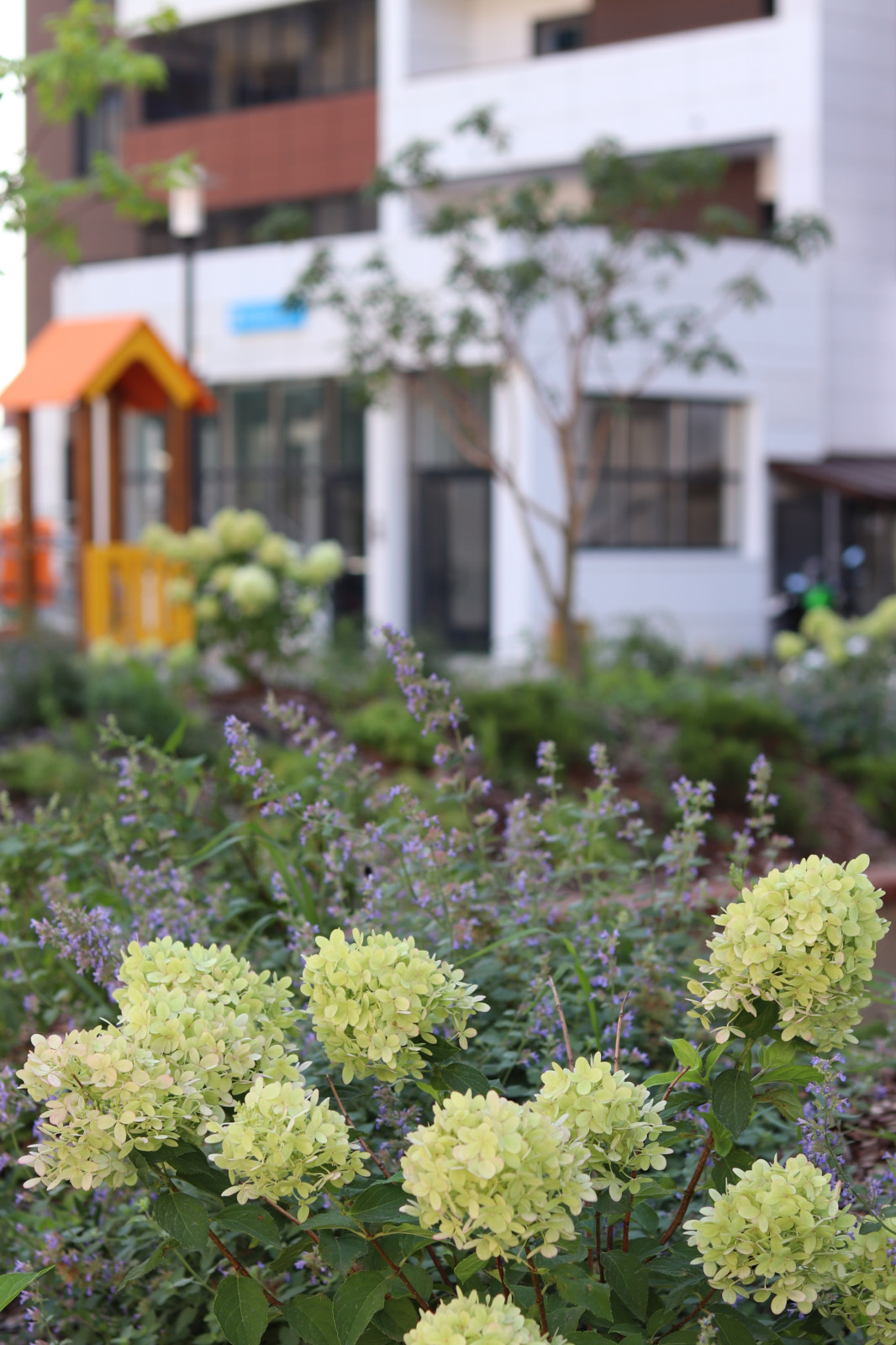 ЖК "Европейский"