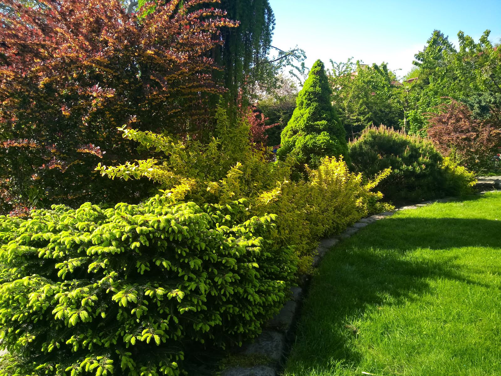 Уход за растениями г. Калининград