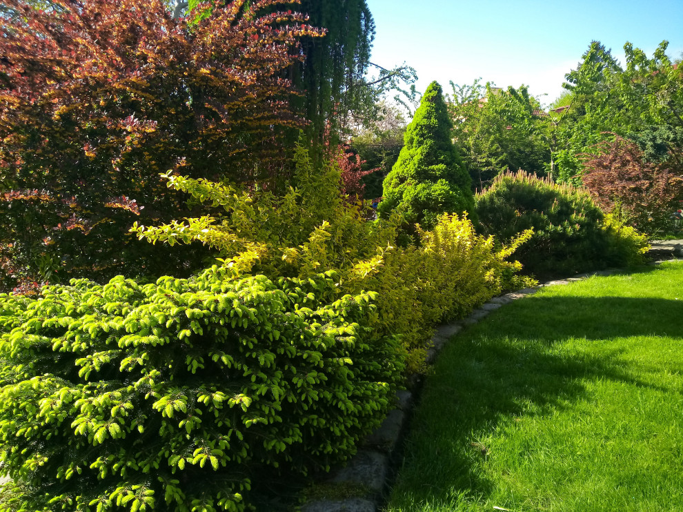 Уход за растениями г. Калининград