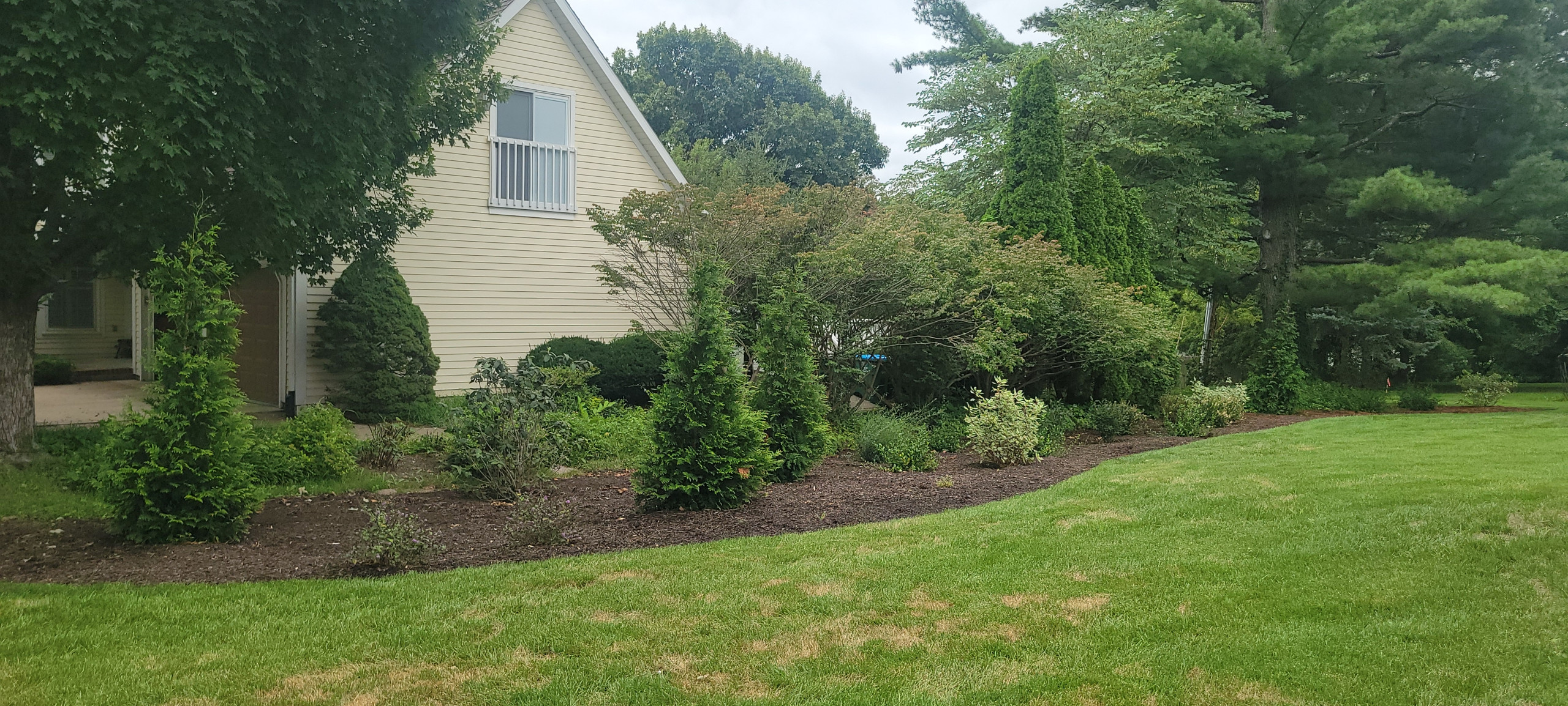 2025 Garden Highlights