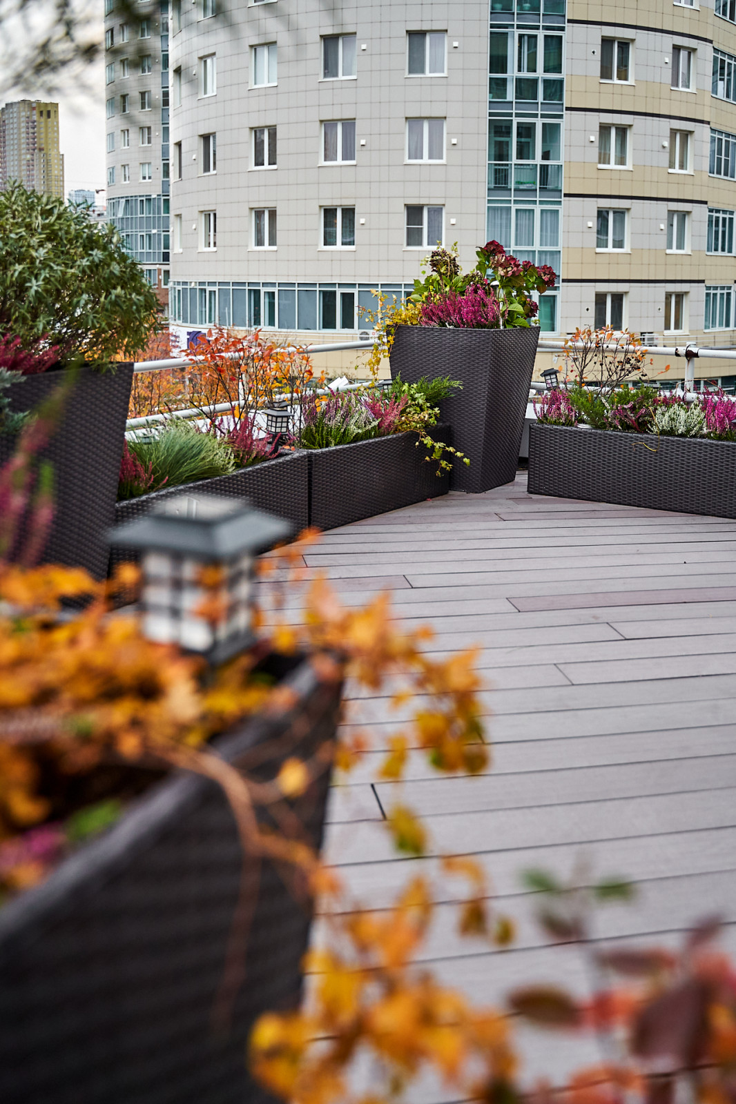 Озеленение террас