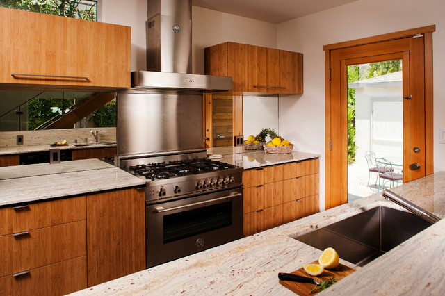 Kitchen contemporary-kitchen