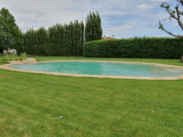 Natural swimming pool rustikt-pool