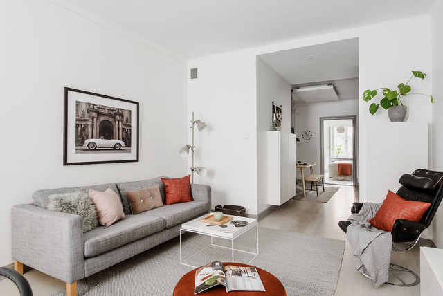 Drejgatan scandinavian-living-room