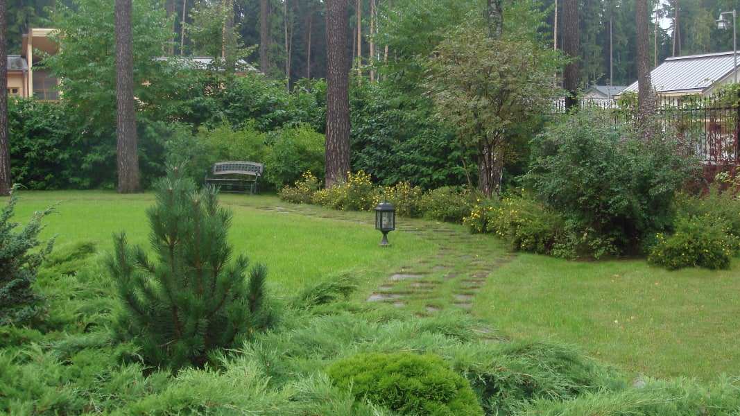 Рублево-Успенское шоссе. 52 сотки.