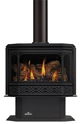Napoleon Havelock GDS50 Direct Vent Gas Stove, Natural Gas