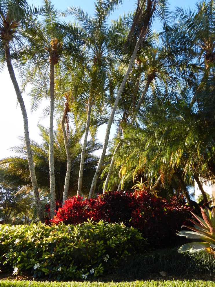 Design ideas for a tropical garden in Miami.