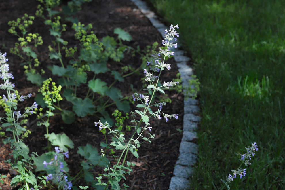 Солнечный берег