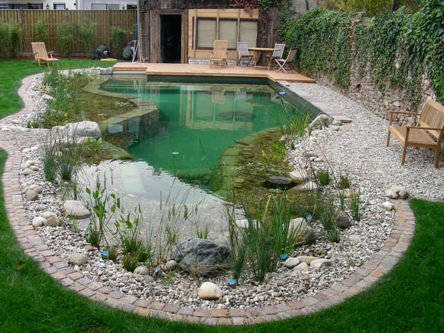 BioNova Natural Swimming Pools - International swimming-pool-and-hot-tub