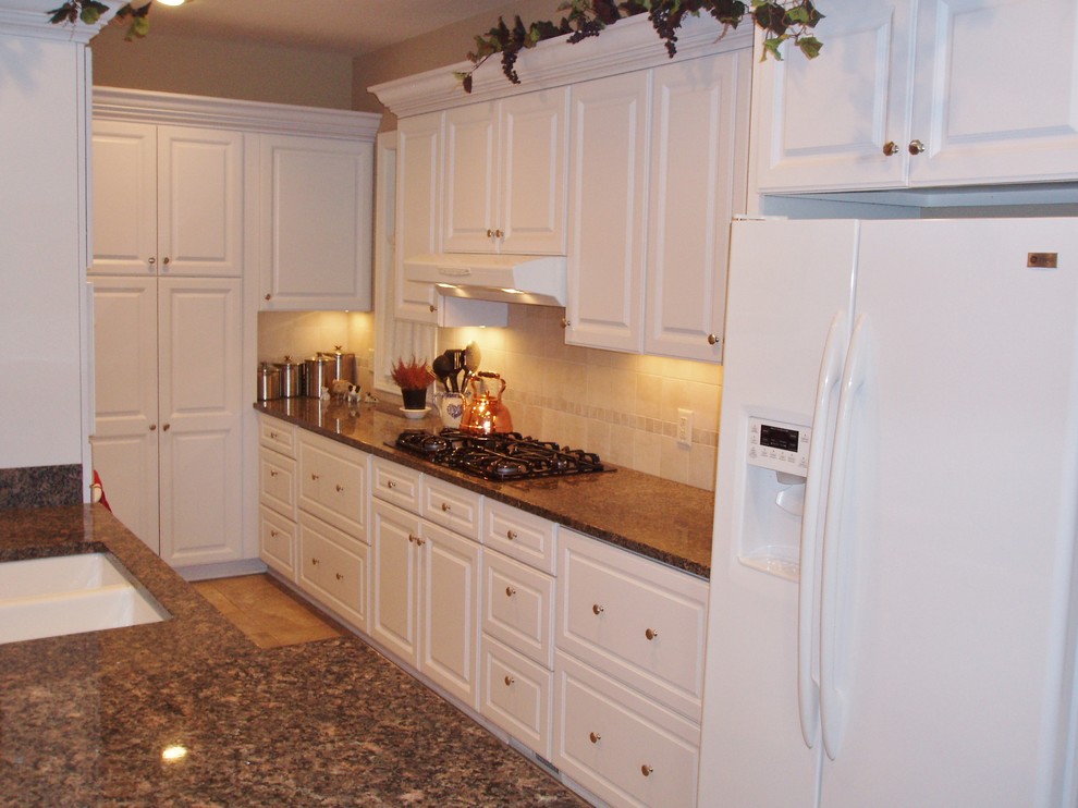 Kitchen - transitional kitchen idea in Minneapolis