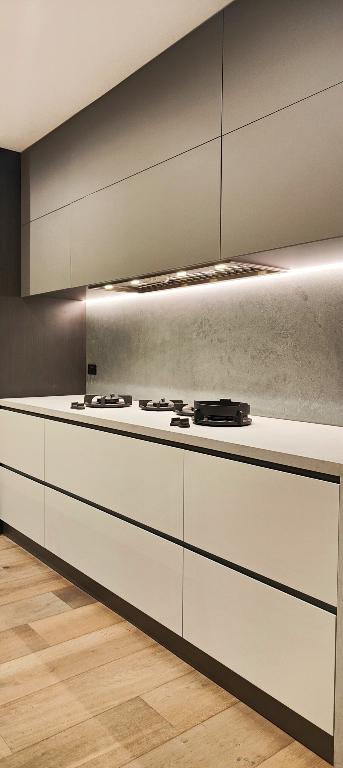 Castlecrag Modern Kitchen