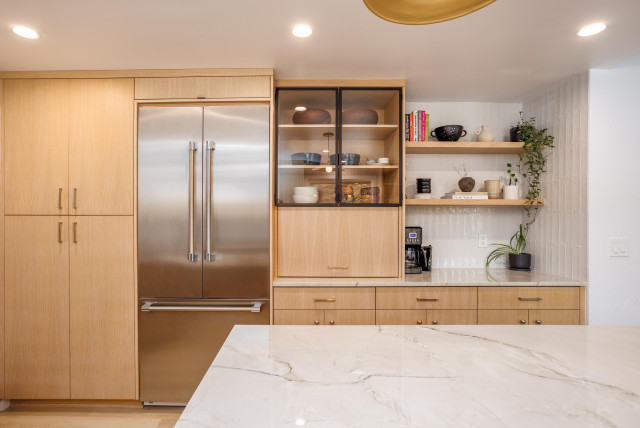 Paula Dr contemporary-kitchen