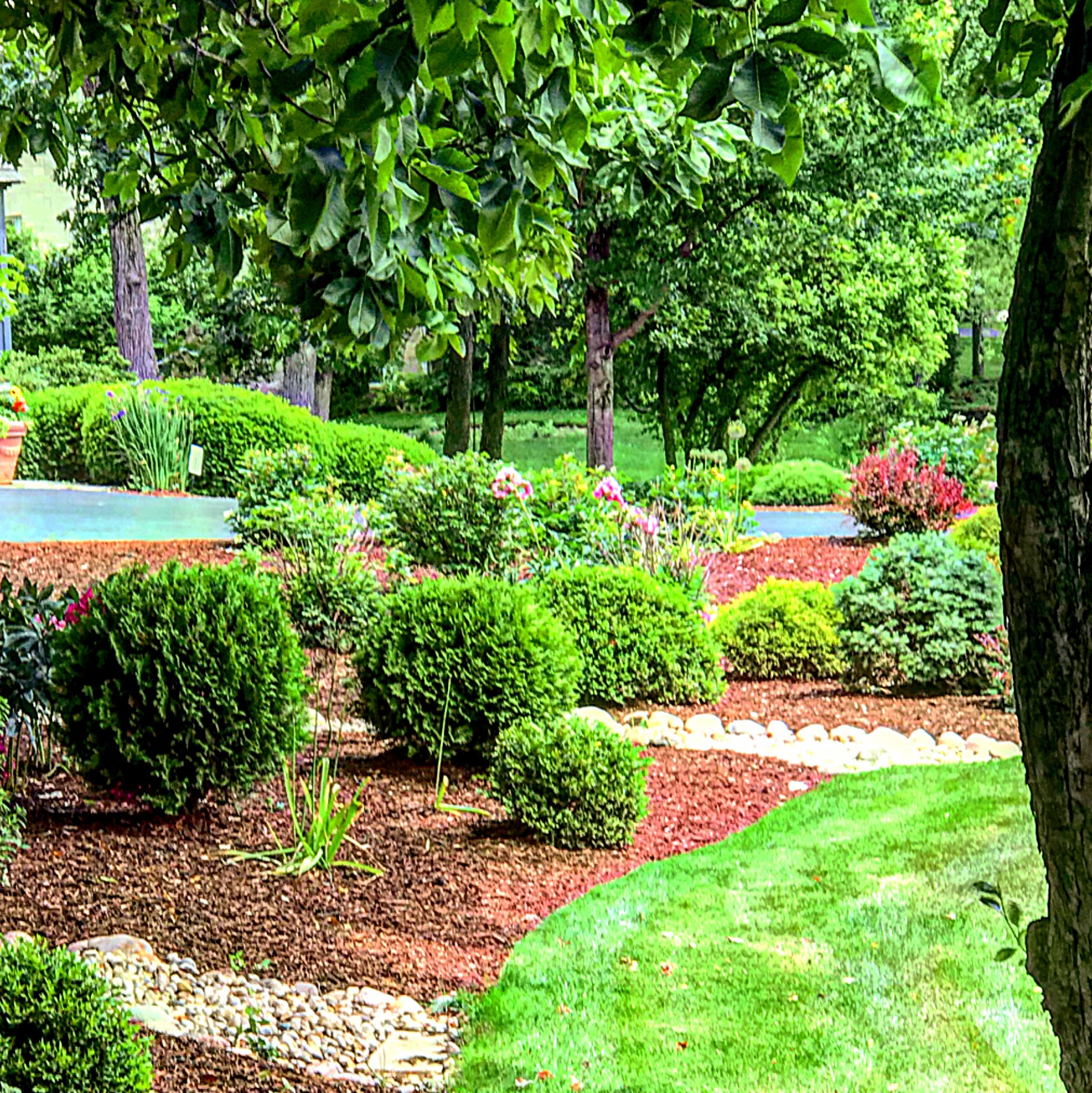 Garden Restoration- Before and After