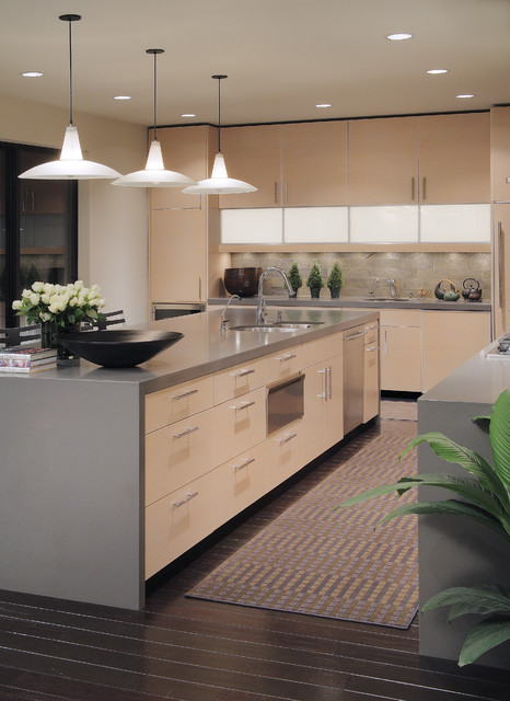 Contemporary Kitchen contemporary-kitchen
