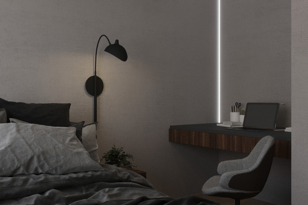 Однокомнатная монохромная квартира