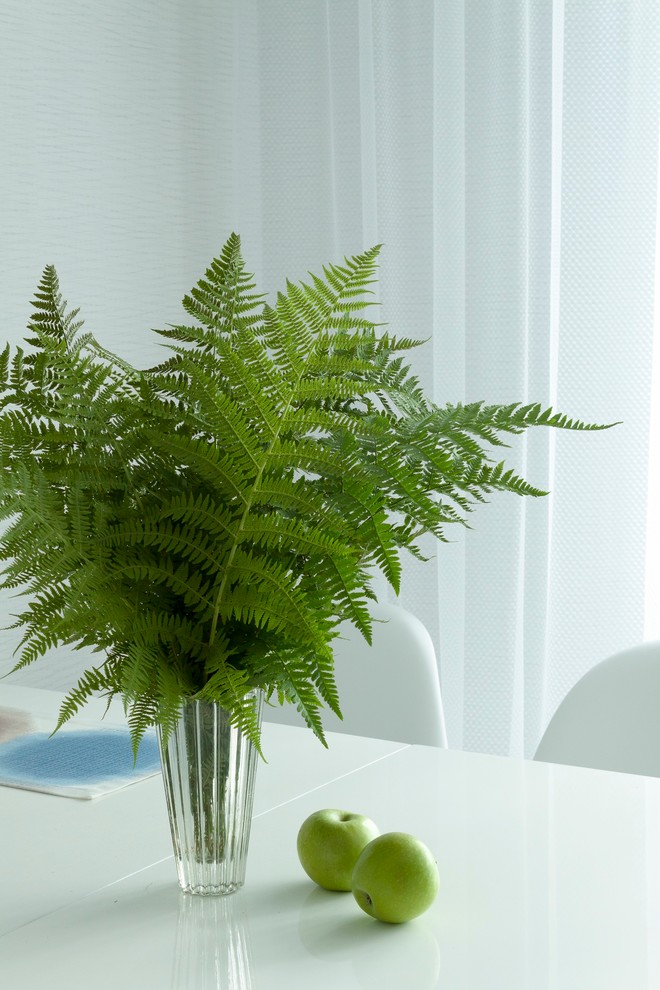 Белая кухня