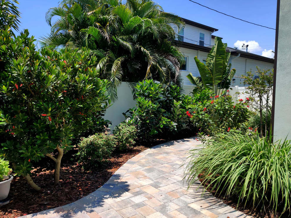 Ispirazione per un giardino tropicale esposto in pieno sole di medie dimensioni e davanti casa in estate con pavimentazioni in cemento
