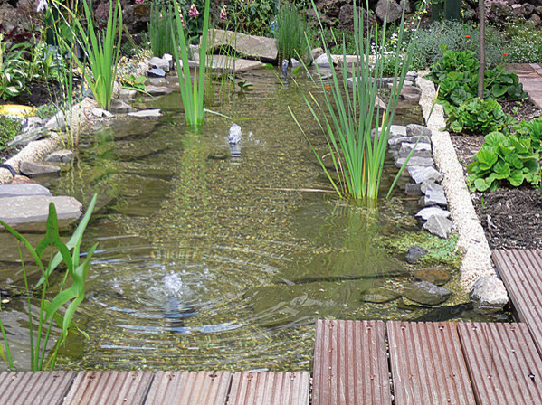 Moderner Garten in Düsseldorf