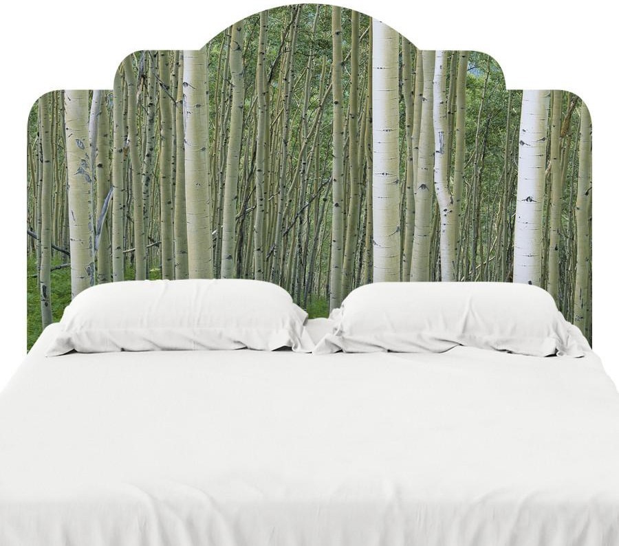 Birch in Uncompahgre National Forest Headboard Decal, King, 76"x38"
