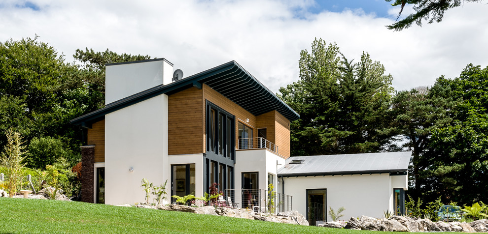 This is an example of a contemporary exterior in Cork with wood siding.