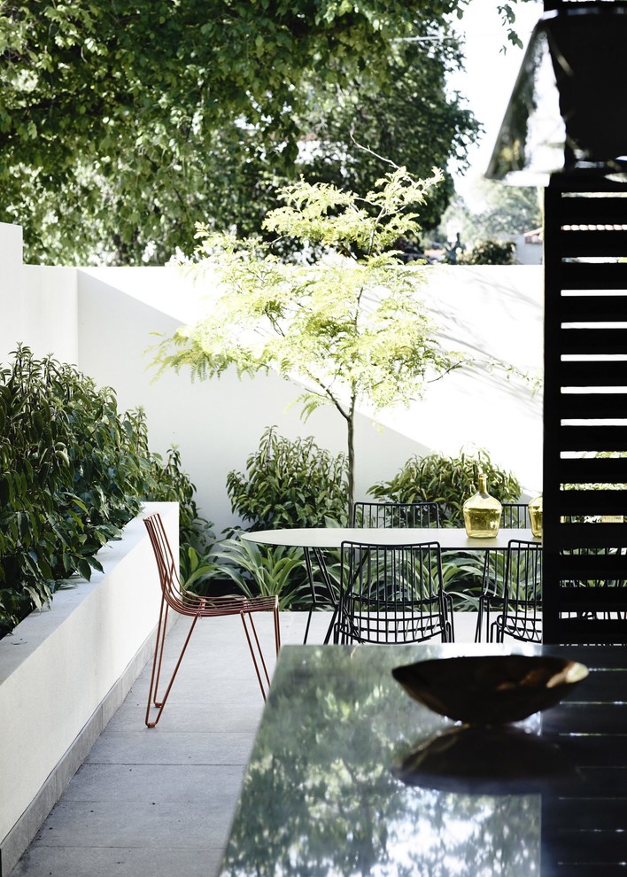 Design ideas for a contemporary courtyard garden in Melbourne.