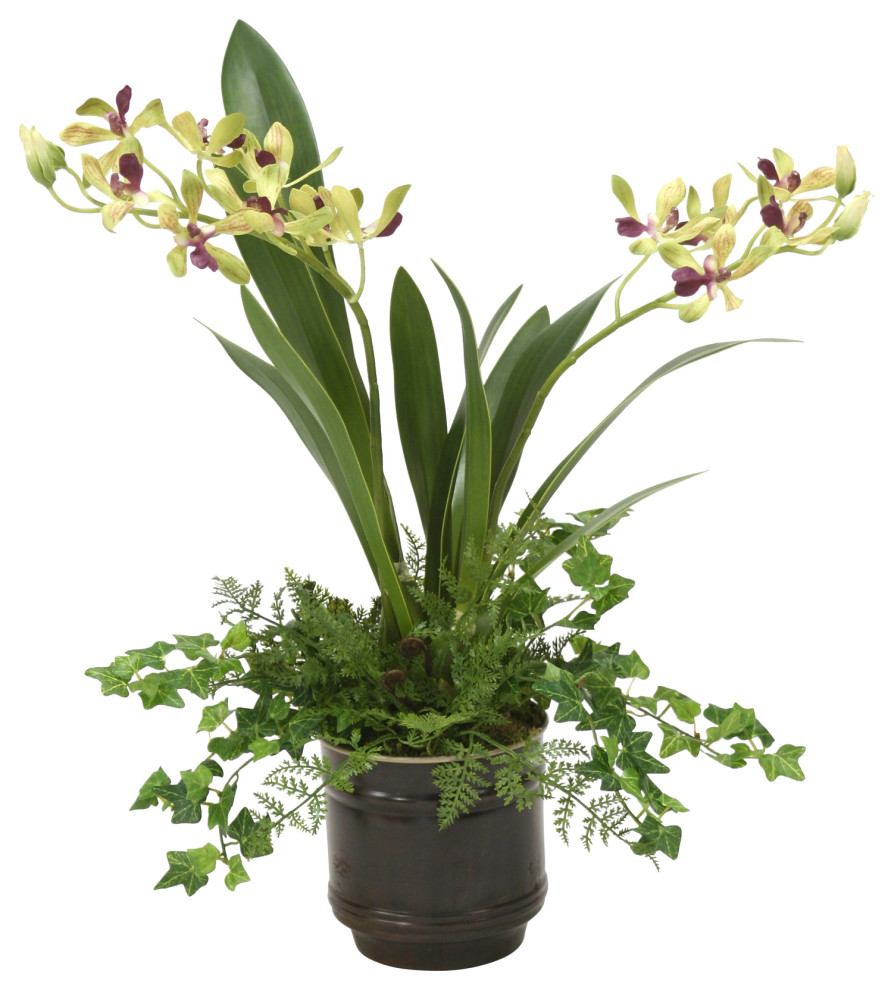 Vanda Orchid in Dark Bronze Pot