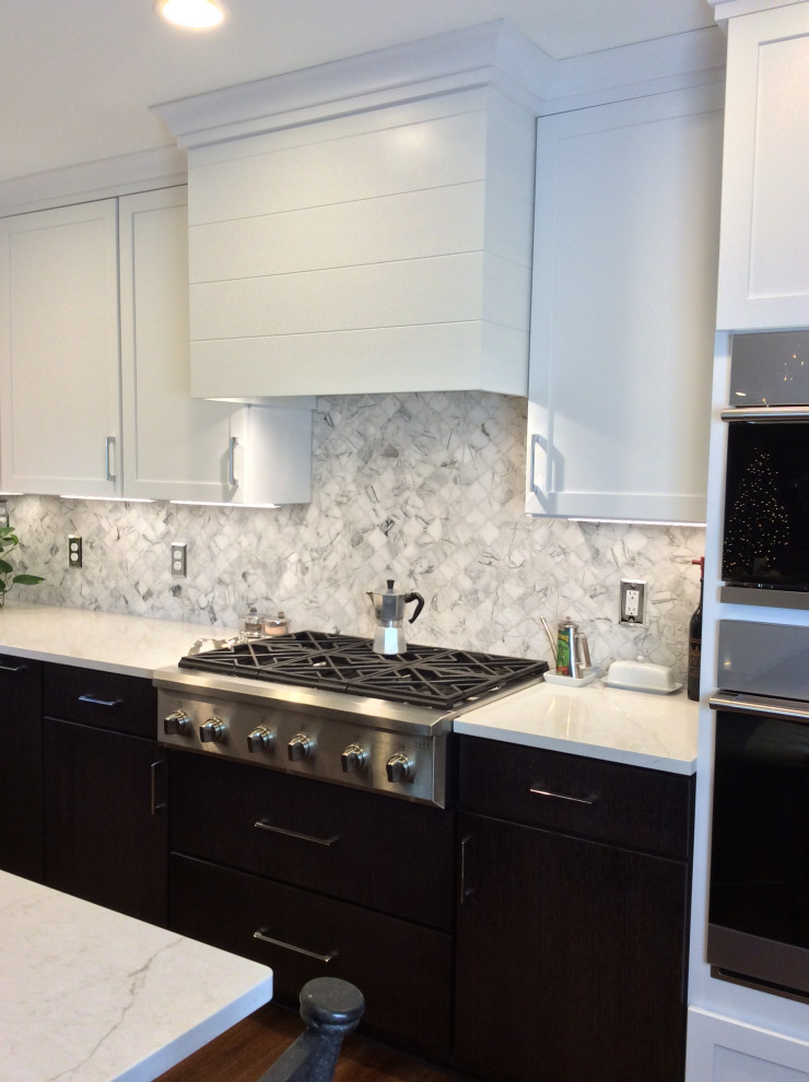 Kitchen - transitional kitchen idea