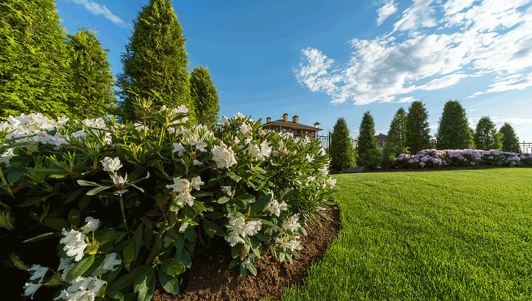 Участок с открытой планировкой