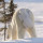 catherine_marshall35