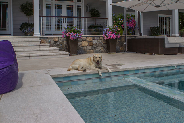 Piscine moderne-pool