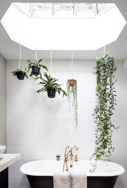 Hængeplanter indendørs: Få inspiration til indretning med grønne  hængeplanter, der hænger, kravler og klatrer