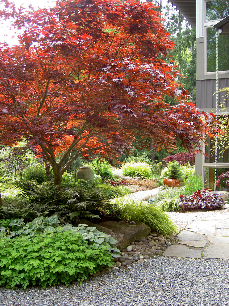 Traditional shaded garden in Seattle with gravel for fall.