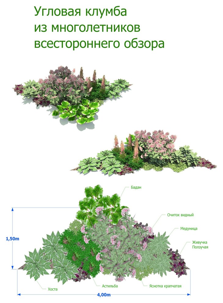 Схемы клумб из многолетников