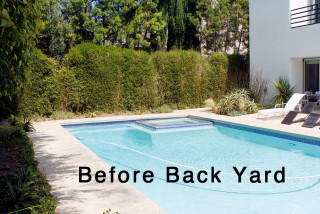 Yard of the Week: Lush, Drought-Tolerant Garden Replaces a Pool (15 photos)