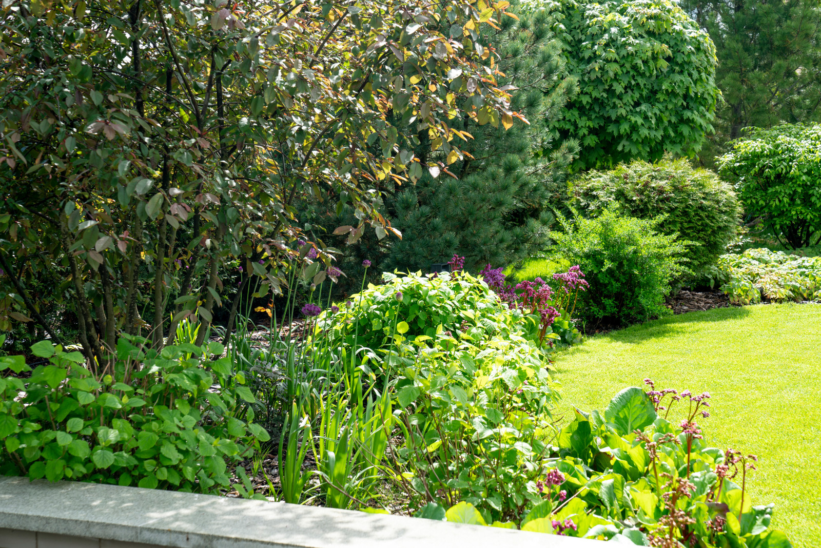 Игра контрастов. Миллениум Парк 2018 г.